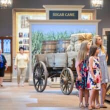 Great River Road Museum at Houmas House